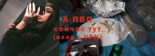 прущая мука Бородино