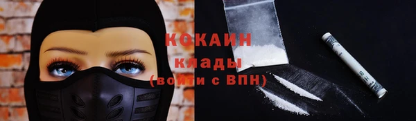 прущая мука Бородино