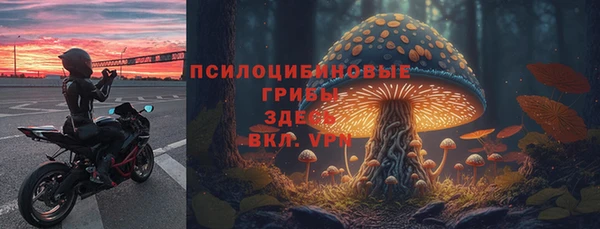 прущая мука Бородино