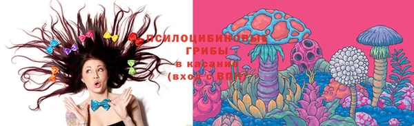 прущая мука Бородино