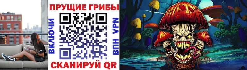 Галлюциногенные грибы MAGIC MUSHROOMS  mega как зайти  сайты даркнета какой сайт  Новосибирск 